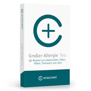 IgE-Allergietest